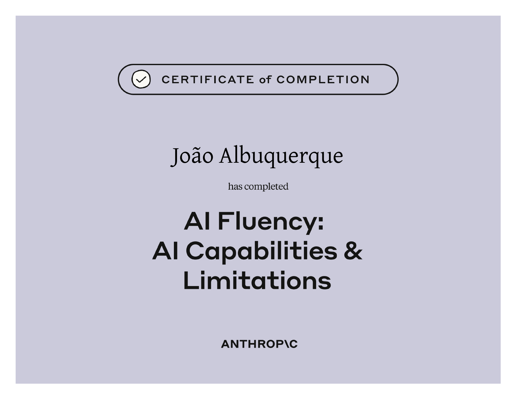 AI Capabilities and Limitations