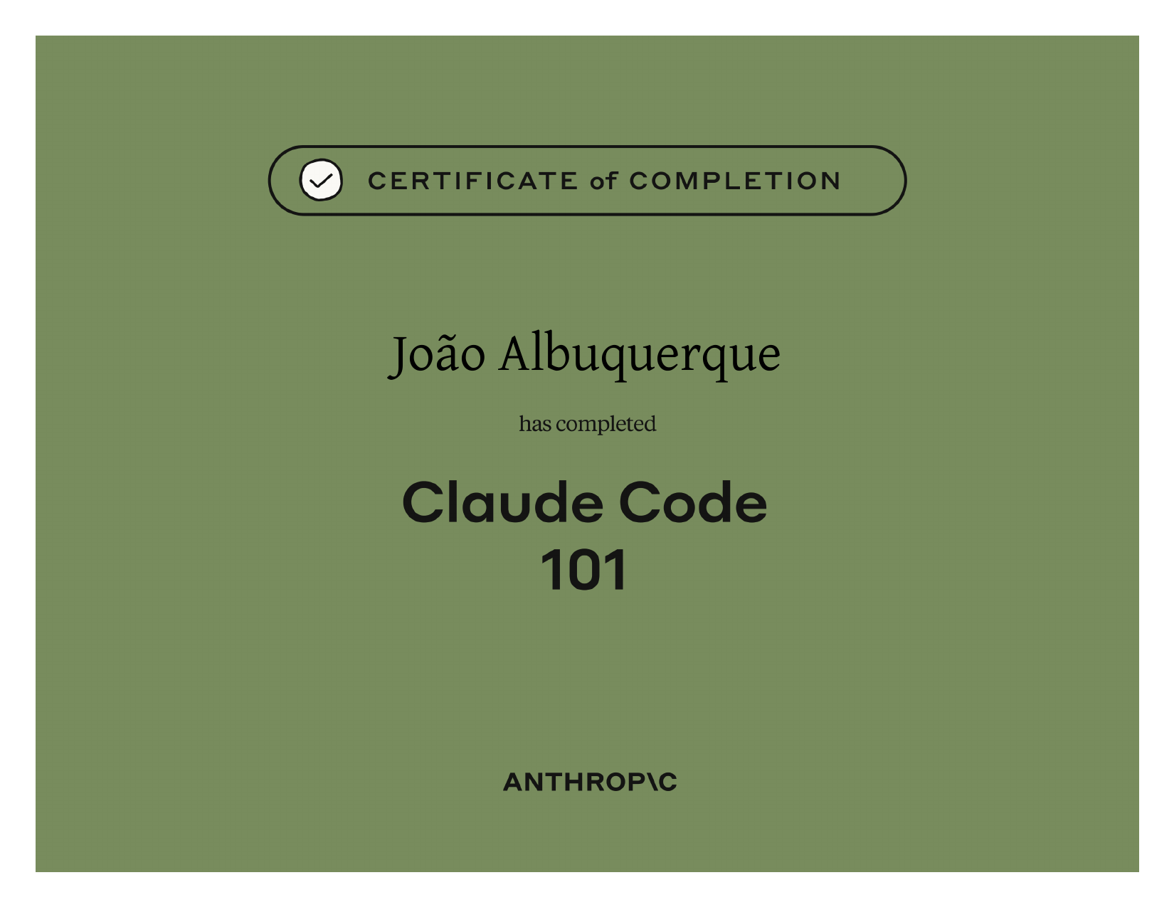 Claude Code 101