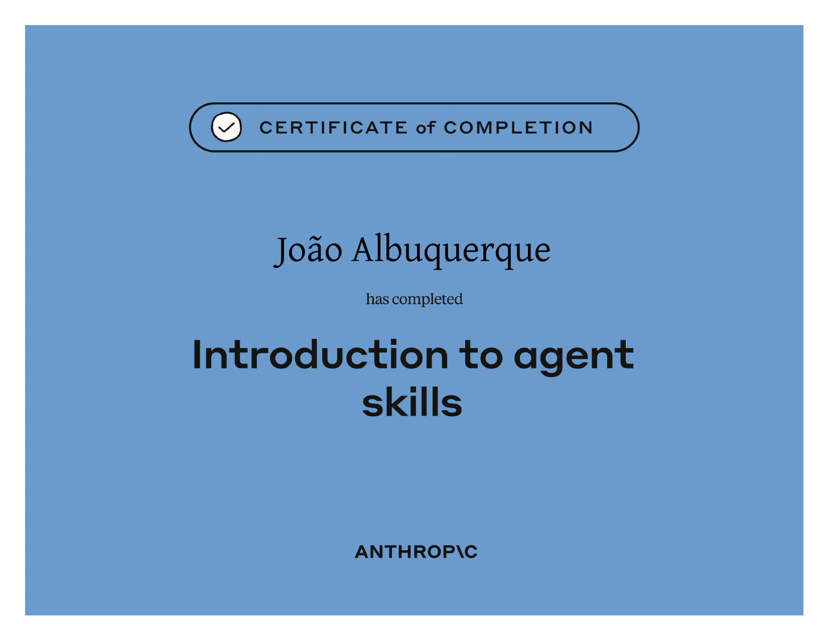 Introduction to Agent Skills